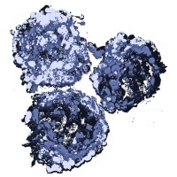Morphovis Biotech Inc. logo - Similar company to Renew Biotech Inc
