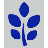 Authentic Strategies, Llc - Digital Health Consulting