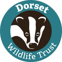 Dorset Wildlife Trust logo - Similar company to Bee Industry Council Of Wa (Bicwa)
