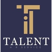 Talent - HR Services logo - Similar company to Sylvur