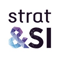 Strat&SI - Votre DSI logo - Similar company to Capybara Si