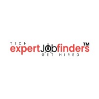 TechExpert Job Finders logo - Similar company to Techicoders