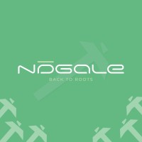 Naagaleofficial logo - Similar company to Codextrivia