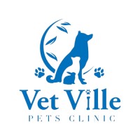 Vet Ville Pets Clinic logo - Similar company to Dexterous Developers