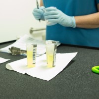 Timely Testing logo - Similar company to Countrywide Testing