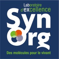 Labex SynOrg logo - Similar company to Obiachem Group