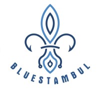 Bluestambul logo - Similar company to Emi̇s Technology