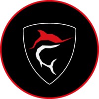 Stretto In Carena logo - Similar company to Webmoov