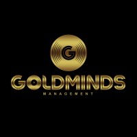 GoldMinds Management logo - Similar company to Playback La
