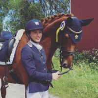 Leideborg Equestrian AB logo - Similar company to Svs Equestrian Hb