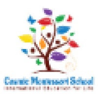Cosmic Montessori School