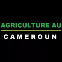 Agriculture au Cameroun logo - Similar company to 4S Advisory