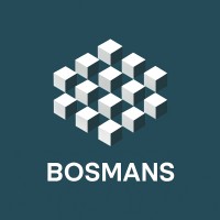 Bosmans Consultancy logo - Similar company to Bosman Consultants