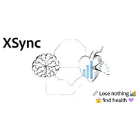 XSync logo - Similar company to Toptech Talent