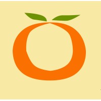 KashMir logo - Similar company to Kashmir Online Store