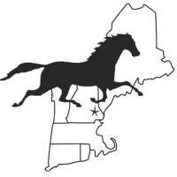 New England Equine Medical & Surgical Center