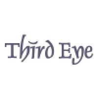 Third Eye Solutions Inc. logo - Similar company to Qservices - Process Automation Partner