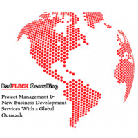 Thomas Fleckenstein Consulting