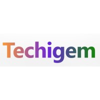 Techigem