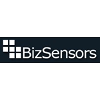 Bizsensors logo - Similar company to Skillnet Technologies