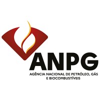 Agência Nacional de Petróleo, Gás e Biocombustíveis logo - Similar company to Pega & Leva