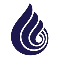 Osmodyn logo - Similar company to Effiscale Accounting Solutions
