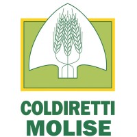 Coldiretti Molise logo - Similar company to Coldiretti Calabria