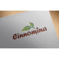 CINNOMINA EXPORTS logo - Similar company to Tejas Industries