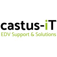 castus-iT logo - Similar company to Calysto Solutions