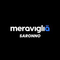 Meraviglia Saronno logo - Similar company to Meraviglia