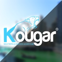 KOUGAR SOLUTIONS & SERVICES ALLIES logo - Similar company to Rich Digital Activity