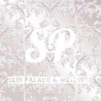 Skin Palace & Wellness LLC logo - Similar company to Glow Up