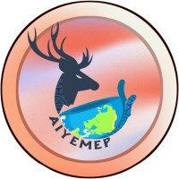 Association Of Indonesian Youth Exposing Multicultural Program logo - Similar company to Spektrum Imaji
