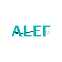 Alef Trading Co. logo - Similar company to Paddy Path Global Llp