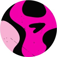 Pink Pirate Co. logo - Similar company to Sofal Creative Studio