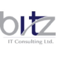 Bitz It Consulting Somaliland