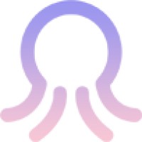 Vizwise Analytics logo - Similar company to Optidash Ai