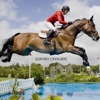SOPHRO CAVALIERS logo - Similar company to Équitation Consciente & Sophrologique