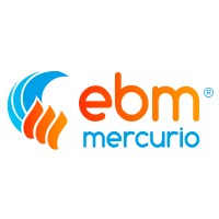 EBM Mercurio Instalaciones y Mantenimientos Integrales logo - Similar company to Punta Del Este Internacional