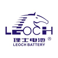 Leoch International logo - Similar company to Ltech Europe