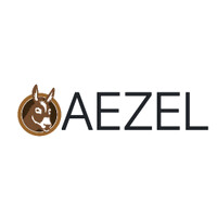 AEZEL logo - Similar company to Playmax