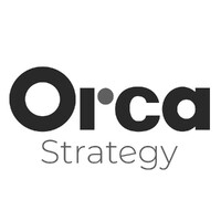 Orca Strategy logo - Similar company to Orca Intelligence