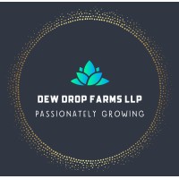 Dew Drop Farms LLP logo - Similar company to Green Leaf Cultivation