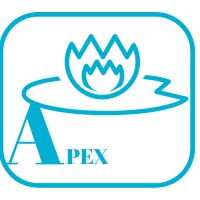 Apex Consulting Services TPM logo - Similar company to Easytech Recruitment Services