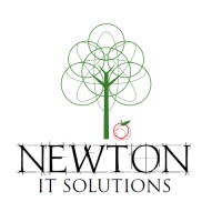 Newton IT Solutions logo - Similar company to Priority1