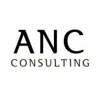 ANC Consulting logo - Similar company to Anc Consulting Llc