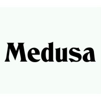 Medusa Magazine logo - Similar company to Imprenta Y Editorial La Selecta S A