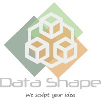 Data Shape logo - Similar company to Datasun Marketing