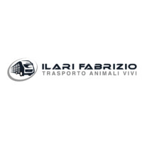 Autotrasporti Ilari Fabrizio logo - Similar company to St Service Srl