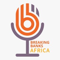 Breaking Banks Africa logo - Similar company to African Social Entrepreneurs Network